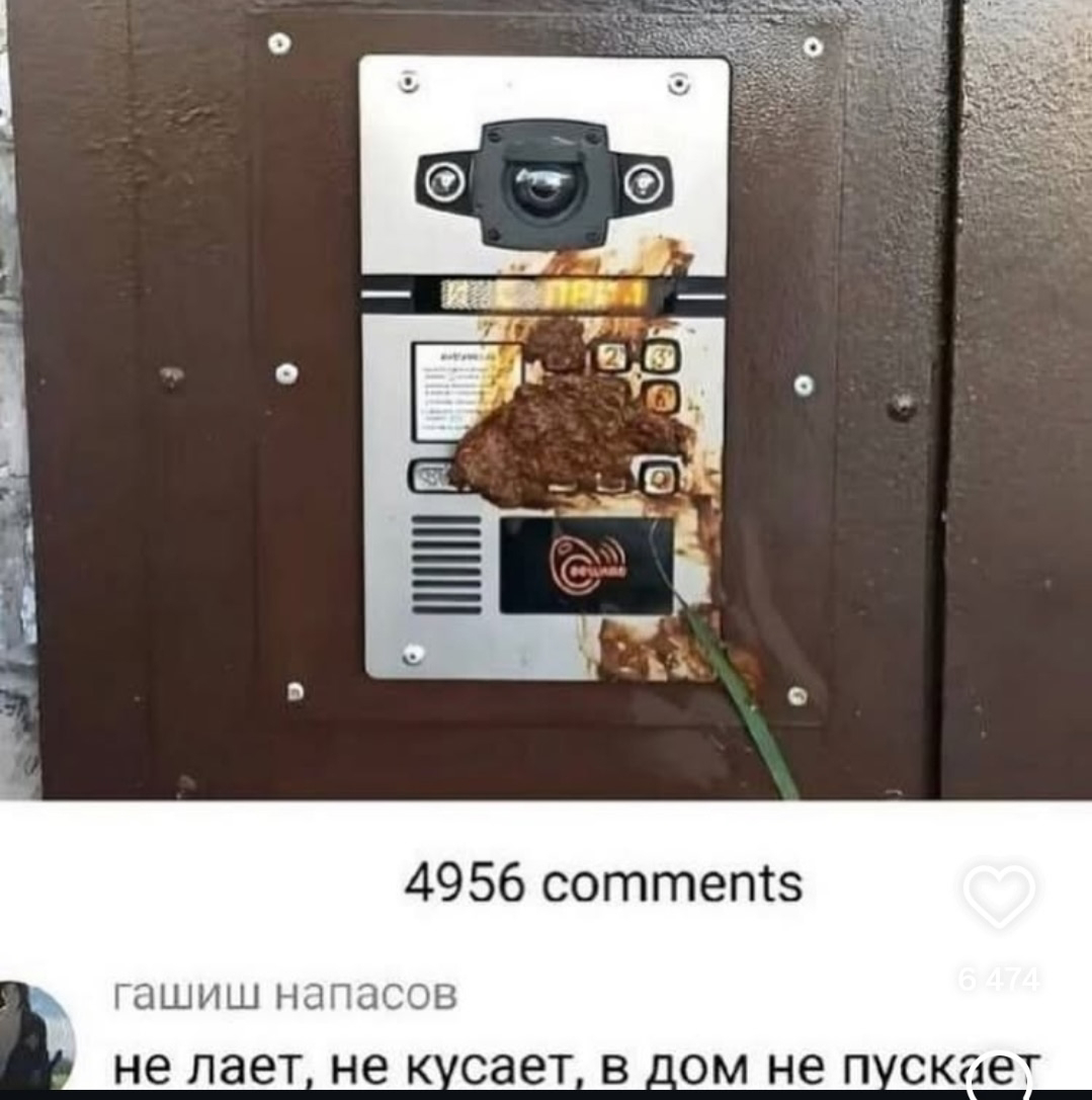 Курилка- разговоры на любые темы - Бодибилдинг форум AnabolicShops