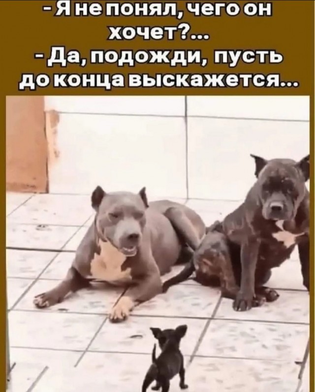 Курилка- разговоры на любые темы - Бодибилдинг форум AnabolicShops