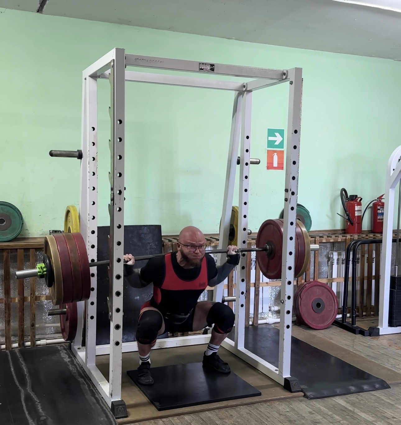 RoidTeam - Дистрибьютор Hilma Biocare и HGH Marten в России - Бодибилдинг форум AnabolicShops