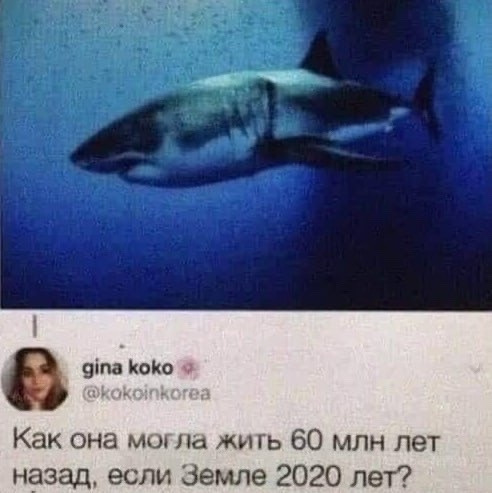 Курилка- разговоры на любые темы - Бодибилдинг форум AnabolicShops