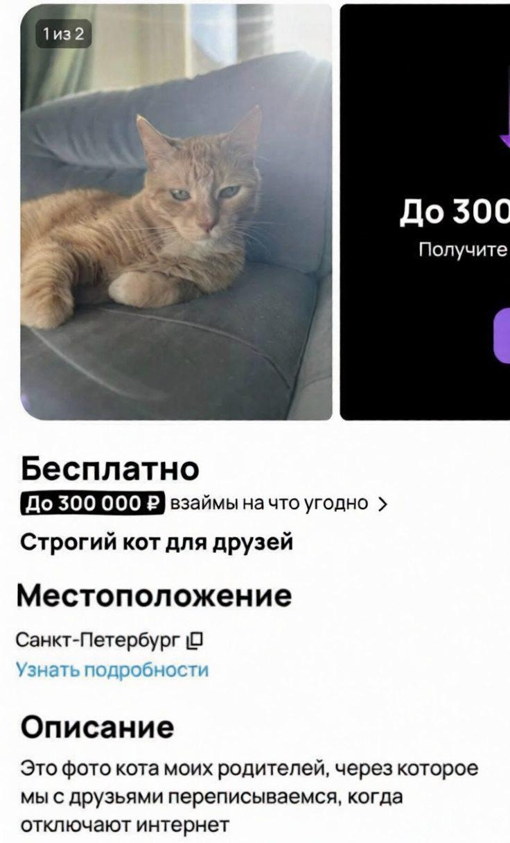 Курилка- разговоры на любые темы - Бодибилдинг форум AnabolicShops