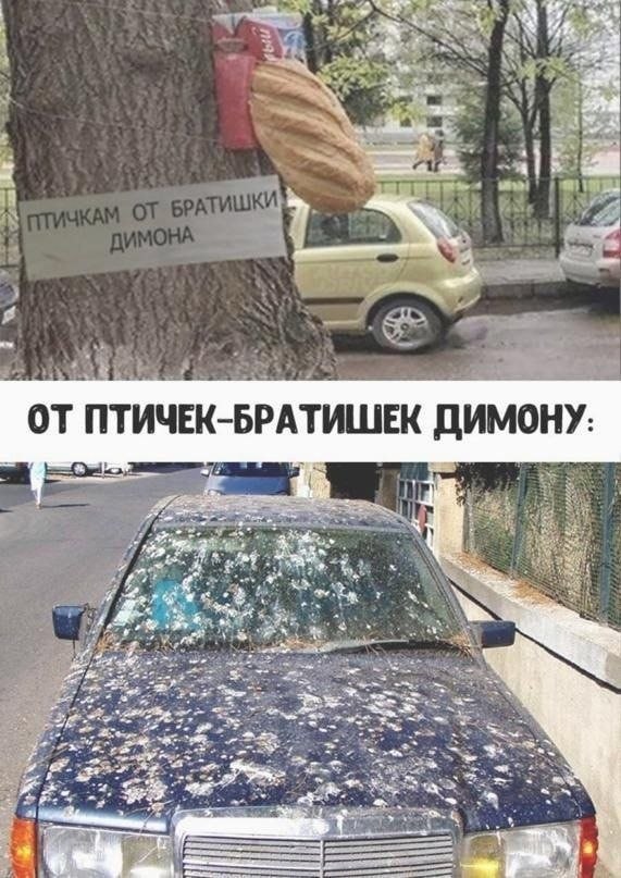 Курилка- разговоры на любые темы - Бодибилдинг форум AnabolicShops