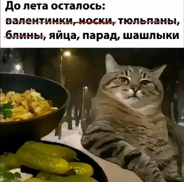 Курилка- разговоры на любые темы - Бодибилдинг форум AnabolicShops
