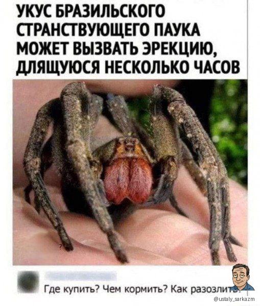 Курилка- разговоры на любые темы - Бодибилдинг форум AnabolicShops