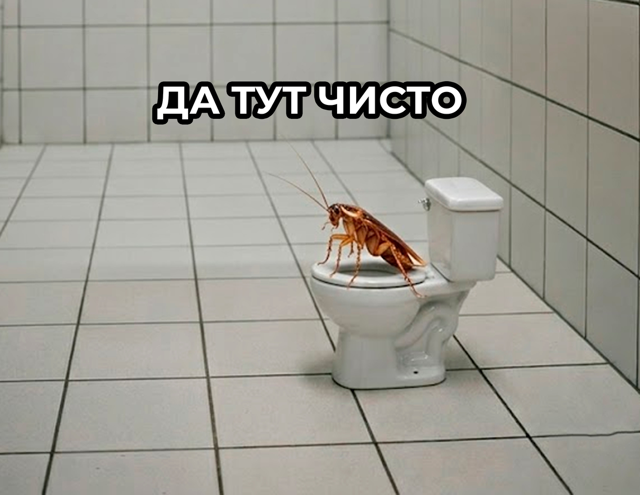 Курилка- разговоры на любые темы - Бодибилдинг форум AnabolicShops