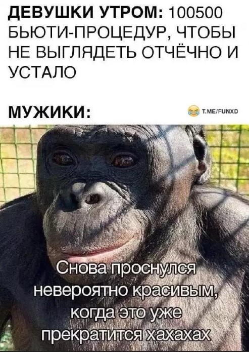 Покажи свой пресс! - Бодибилдинг форум AnabolicShops