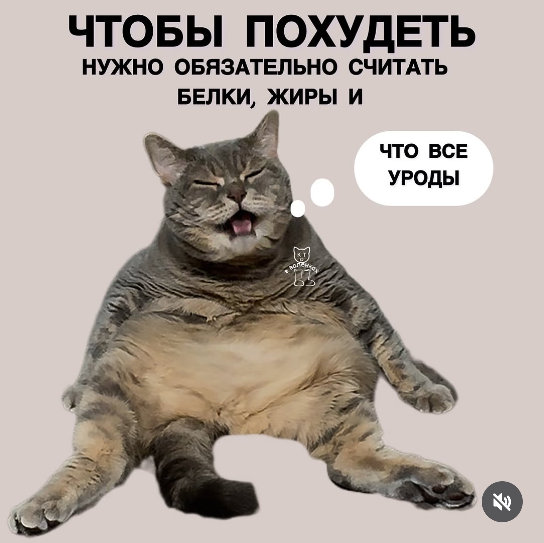 Дайджест от 22.04.2026 - Бодибилдинг форум AnabolicShops