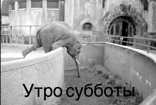 Курилка- разговоры на любые темы - Бодибилдинг форум AnabolicShops