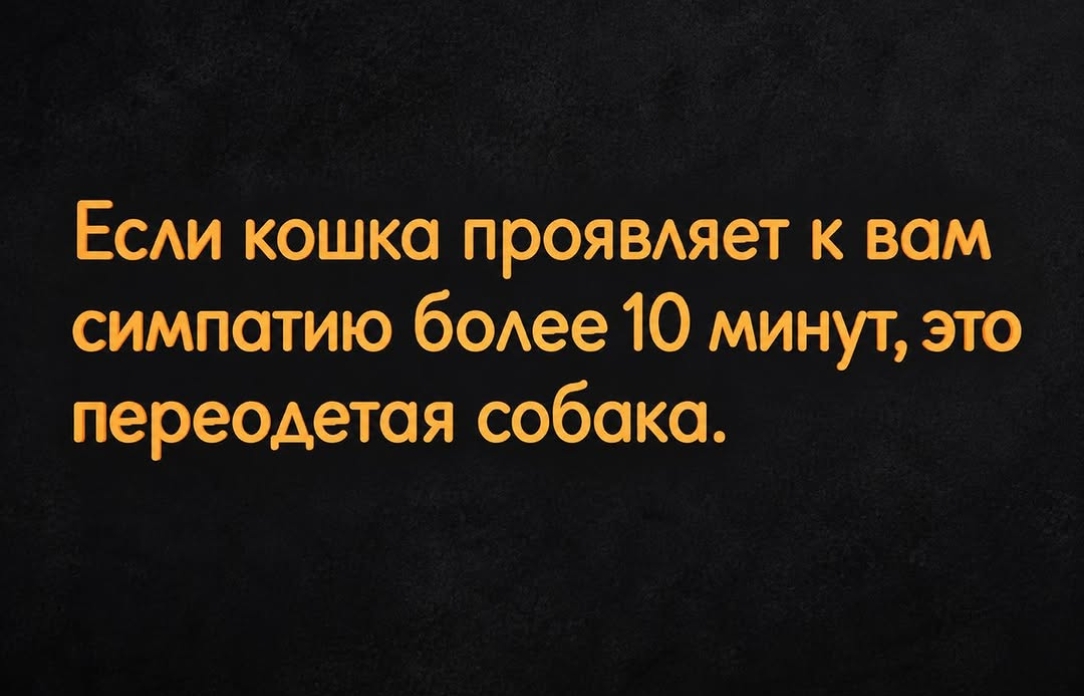 Мои домашние питомцы - Бодибилдинг форум AnabolicShops