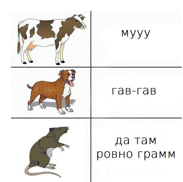 Курилка- разговоры на любые темы - Бодибилдинг форум AnabolicShops