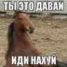 Курилка- разговоры на любые темы - Бодибилдинг форум AnabolicShops