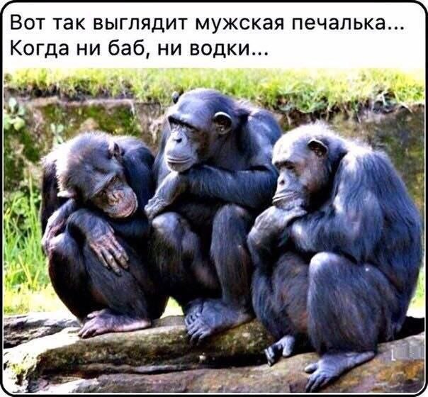 Курилка- разговоры на любые темы - Бодибилдинг форум AnabolicShops