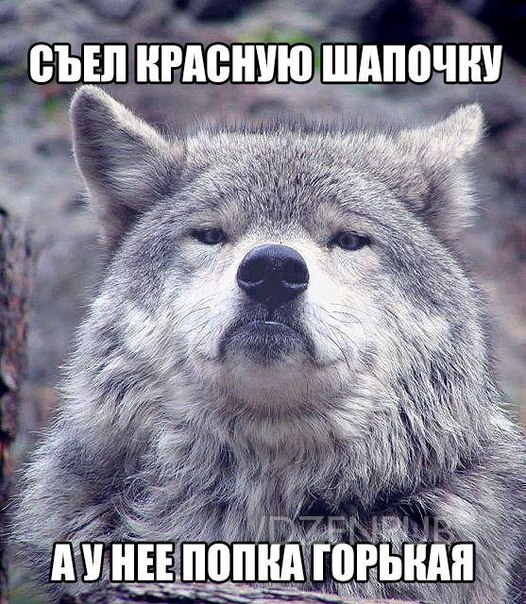 Sdelaitelo.BIZ - Бодибилдинг форум AnabolicShops
