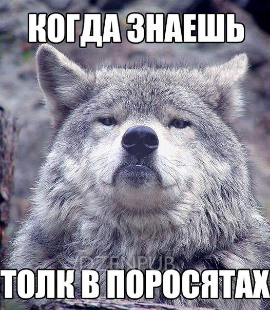 Sdelaitelo.BIZ - Бодибилдинг форум AnabolicShops