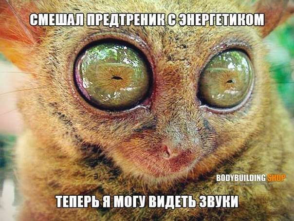 Pharmacentr.com МАГАЗИН ЗАКРЫТ - Бодибилдинг форум AnabolicShops