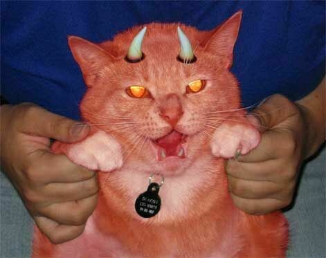 DevilsPharm.in.th - Бодибилдинг форум AnabolicShops