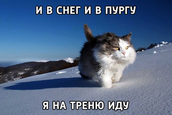 Pharmacentr.com МАГАЗИН ЗАКРЫТ - Бодибилдинг форум AnabolicShops