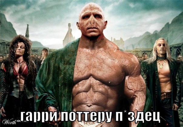 Thomas&Co - Медицинское качество. - Бодибилдинг форум AnabolicShops
