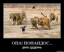 2 недели без anabolicshops - Бодибилдинг форум AnabolicShops
