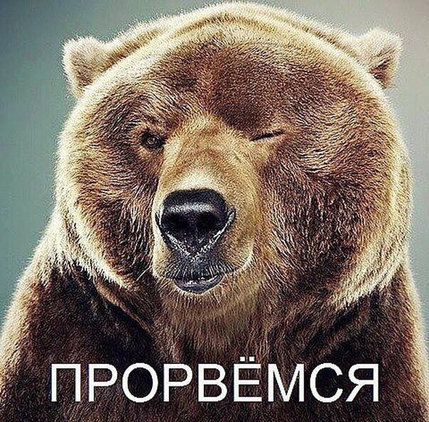 Mita-pharma. - Бодибилдинг форум AnabolicShops