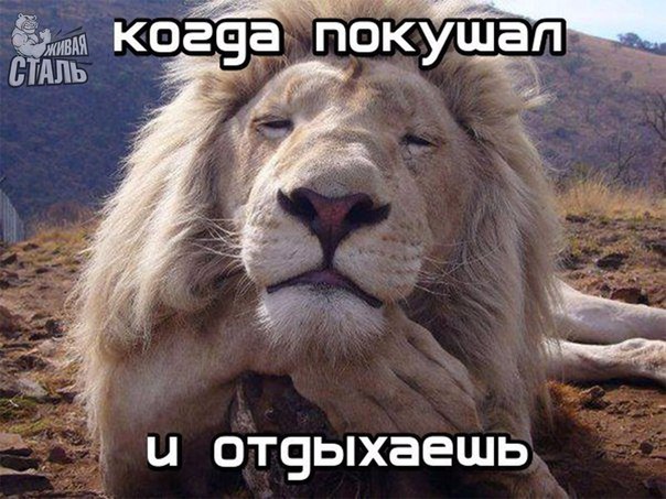 Магазин Фрэнка. Pharmacom Labs Official. Марка №1 в Мире! - Бодибилдинг форум AnabolicShops