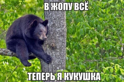 Mita-pharma. - Бодибилдинг форум AnabolicShops