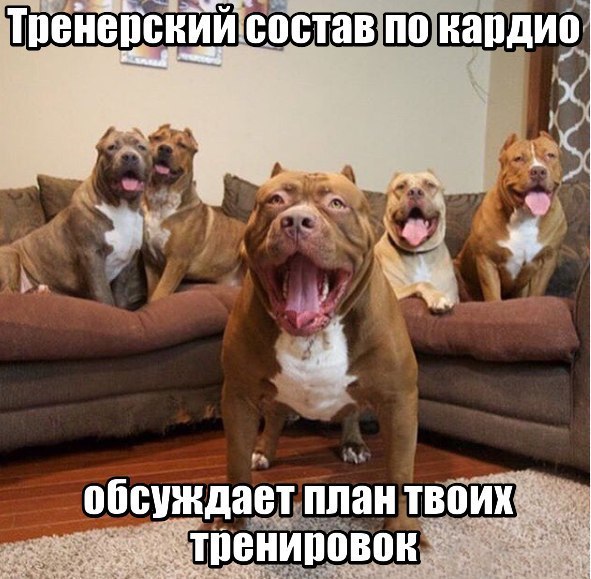 Фармакология, питание и тренировочный процесс - Бодибилдинг форум AnabolicShops