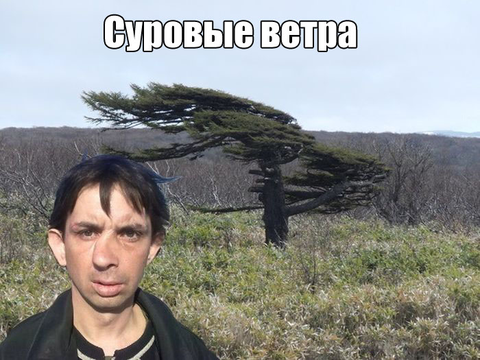 Mita-pharma. - Бодибилдинг форум AnabolicShops