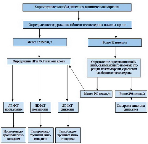GOODPHARMA.BIZ -  Официальный представитель Vermodje и EPF ! - Бодибилдинг форум AnabolicShops