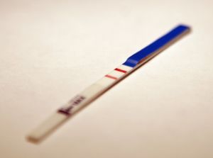 Братья Паркеры поздравляют всех Вас с Новым Годом! С 27 дек по 7 янв - нерабочие дни! - Бодибилдинг форум AnabolicShops