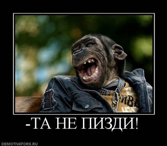 Thomas&Co - Медицинское качество. - Бодибилдинг форум AnabolicShops
