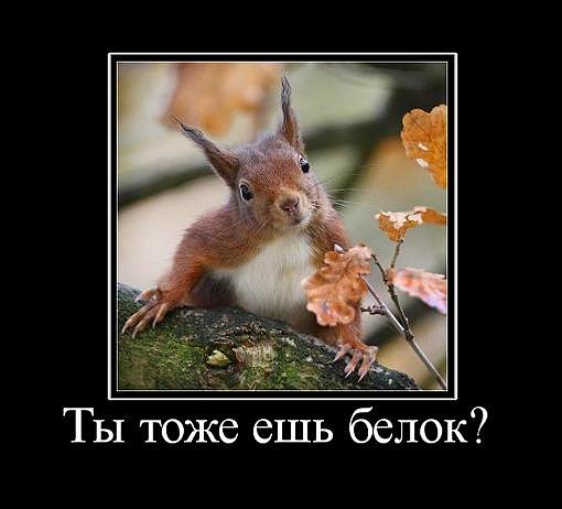 Курилка- разговоры на любые темы - Бодибилдинг форум AnabolicShops