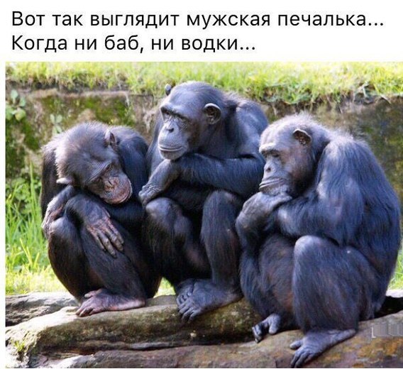 Курилка- разговоры на любые темы - Бодибилдинг форум AnabolicShops