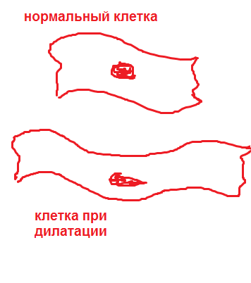 Ветка спортивного кардиолога - Бодибилдинг форум AnabolicShops