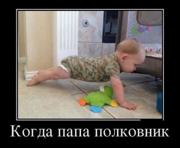 Новый Год против рака.. - Бодибилдинг форум AnabolicShops