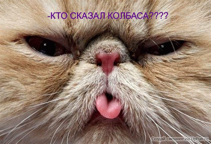 Курилка- разговоры на любые темы - Бодибилдинг форум AnabolicShops