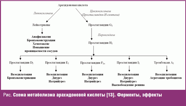 Воспаление (часть 1) - Бодибилдинг форум AnabolicShops