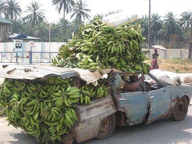 Fruitlabs.org   Всегда отличные цены, отменное качество и быстрые отправки ! - Бодибилдинг форум AnabolicShops