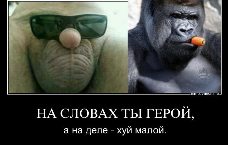 Робыч.... - Бодибилдинг форум AnabolicShops