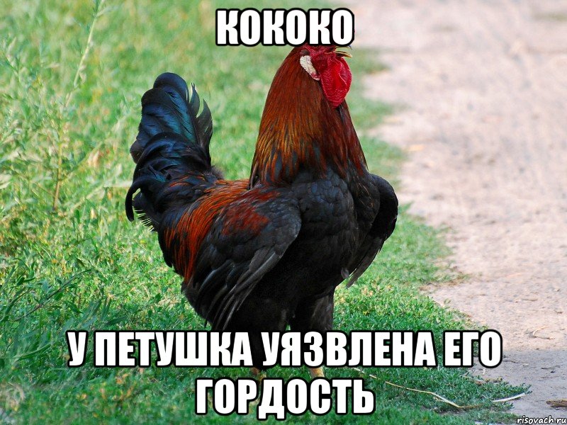 Робыч.... - Бодибилдинг форум AnabolicShops