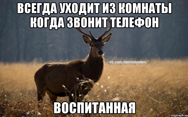 Amazonka's life - Бодибилдинг форум AnabolicShops