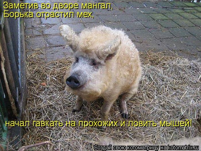 Курилка- разговоры на любые темы - Бодибилдинг форум AnabolicShops