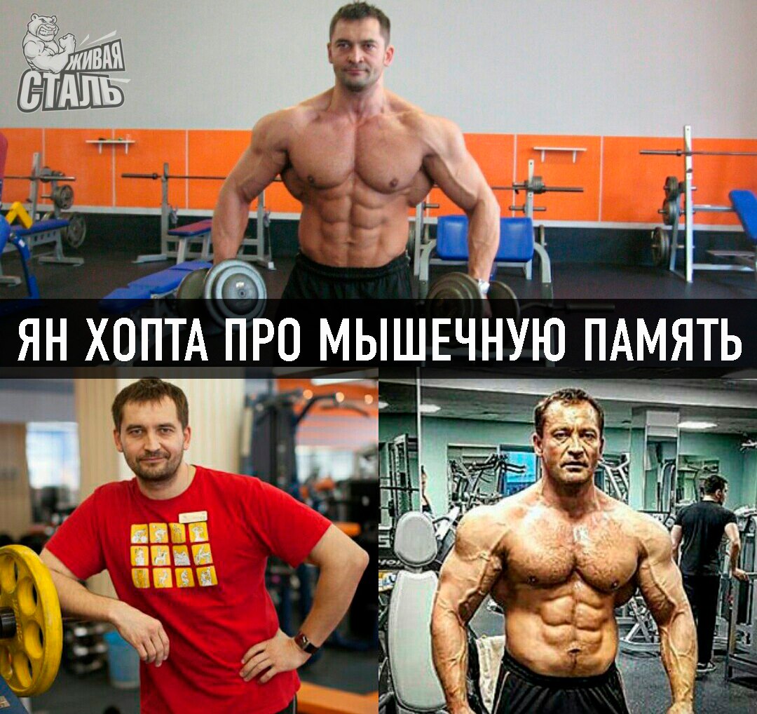 GOODPHARMA.BIZ -  Официальный представитель Vermodje и EPF ! - Бодибилдинг форум AnabolicShops