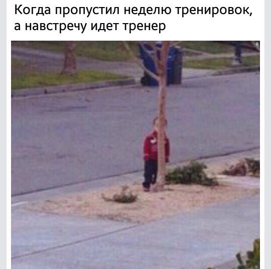 Рацион вегана ll - Бодибилдинг форум AnabolicShops