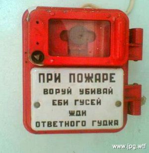 Шорты в отрыве. - Бодибилдинг форум AnabolicShops