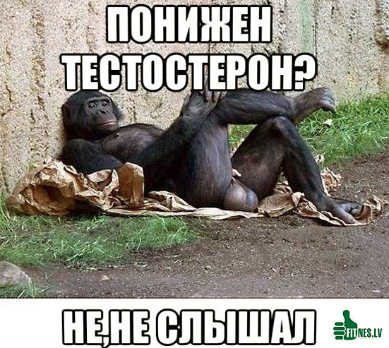 Магазин Фрэнка. Pharmacom Labs Official. Марка №1 в Мире! - Бодибилдинг форум AnabolicShops