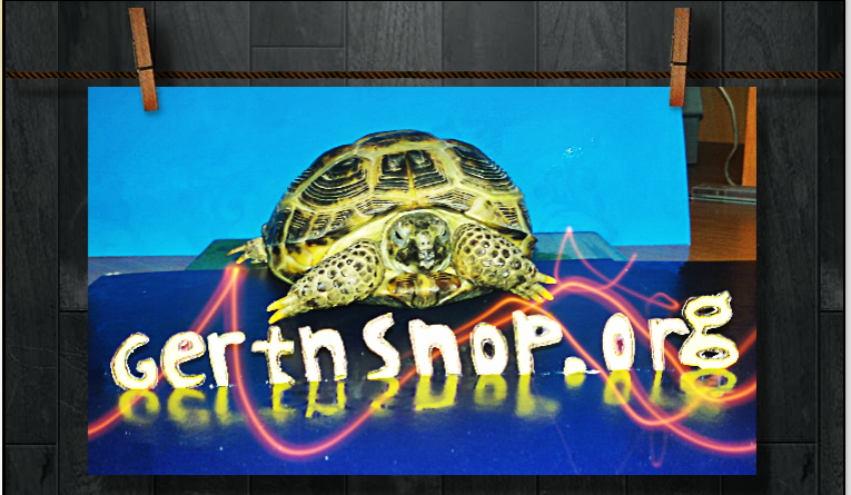 "Напиши Gerthshop.org" призы увеличены! - Бодибилдинг форум AnabolicShops