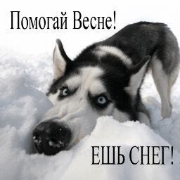 Курилка- разговоры на любые темы - Бодибилдинг форум AnabolicShops
