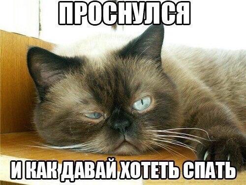 Курилка- разговоры на любые темы - Бодибилдинг форум AnabolicShops