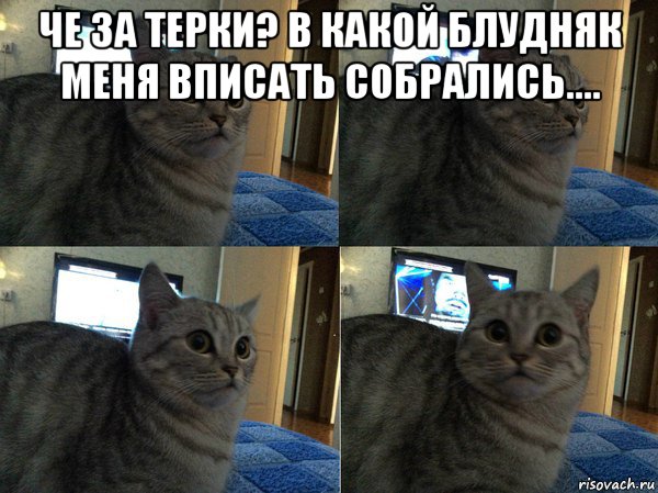 Mita-pharma. - Бодибилдинг форум AnabolicShops